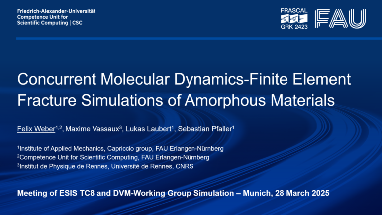 Joint technical meeting of ESIS TC8 and DVM-Working Group Simulation